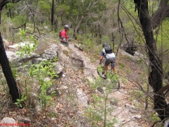 20070114-Coba 311 